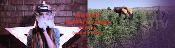 шишки Аркадак