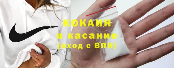 шишки Аркадак
