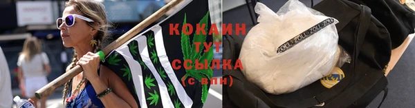 кокс Арсеньев