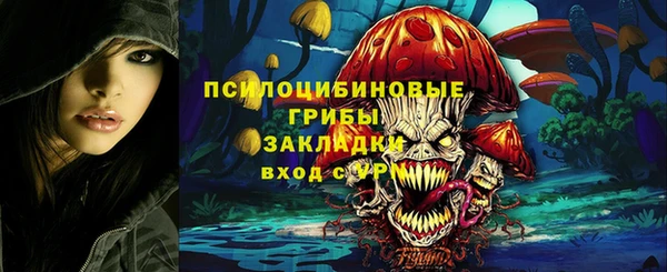 шишки Аркадак