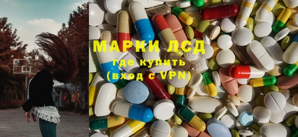 шишки Аркадак