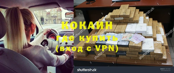 шишки Алексин