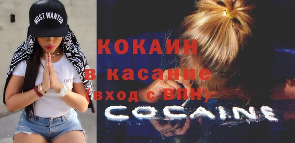 шишки Аркадак