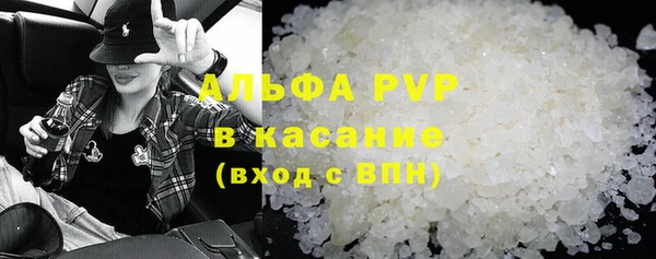 шишки Аркадак